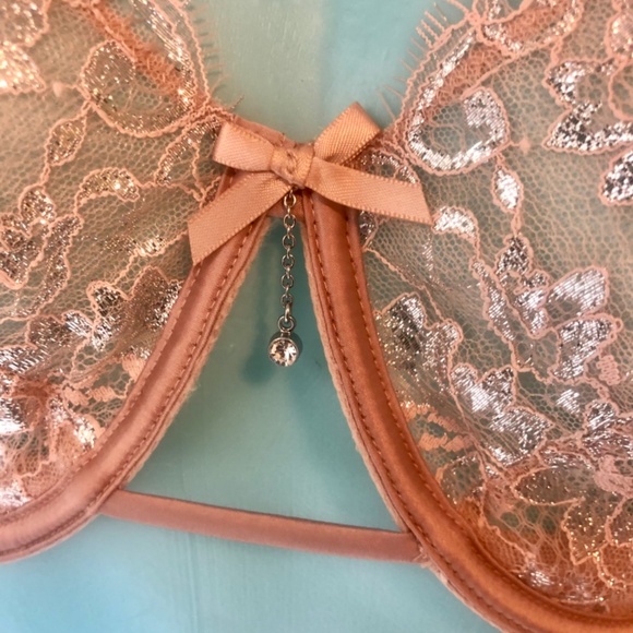 Victoria’s Secret Allure Shine Evening Blush Bra /Garter/Cheekini Set NWT 38DDD - Picture 12 of 14